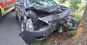 Kruszwica: Auto uderzyło w drzewo, jedna osoba w szpitalu