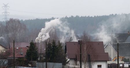 Zakaz pieców na gaz? Tak. A pellet? Zadziwiający ruch Unii