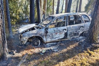 Spalony samochód w lesie. Tego się nikt nie spodziewał