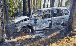 Spalony samochód w lesie. Tego się nikt nie spodziewał