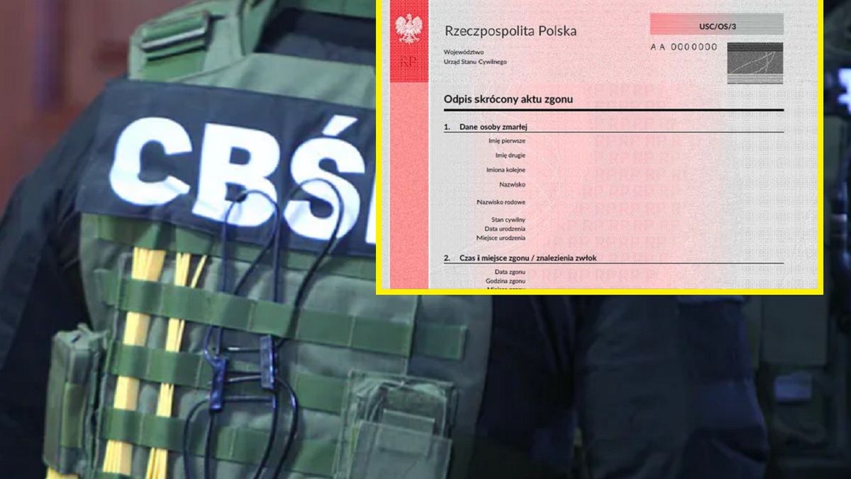 CBŚ zatrzymało podejrzanych w spraiwe.