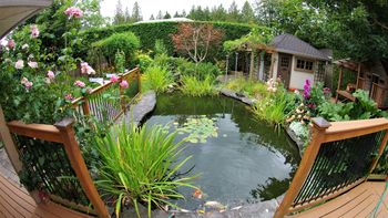 Budujemy oczko wodne. O czym trzeba pamiętać?