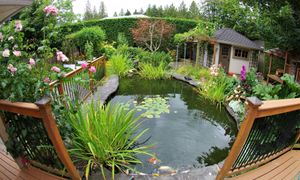 Budujemy oczko wodne. O czym trzeba pamiętać?