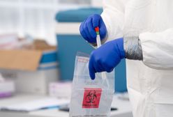 Koronawirus w Warszawie. Apel do ozdrowieńców o oddawanie osocza krwi