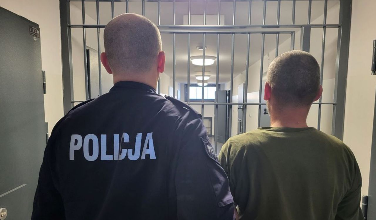 Kujawsko‑Pomorskie: Ojciec i syn zatrzymani za znęcanie nad psami