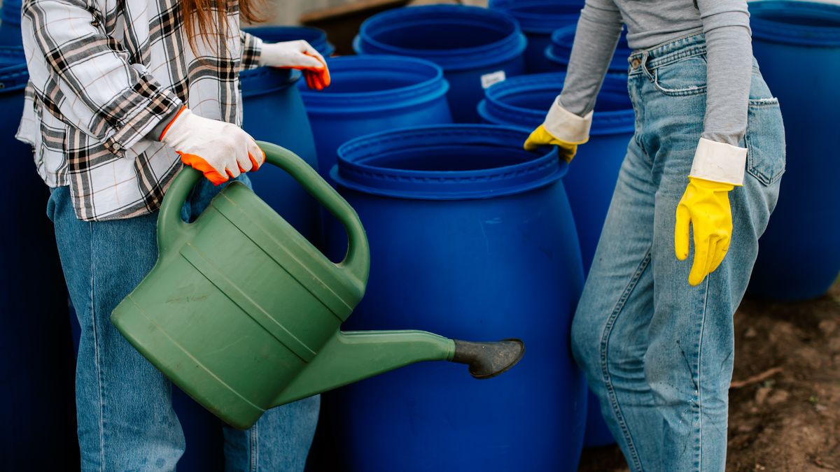 woda deszczowa deszczówka podlewanie ogrodu konewka