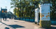 Poznań rozdaje nasiona dla pszczół. Nietypowa akcja na ulicach miasta