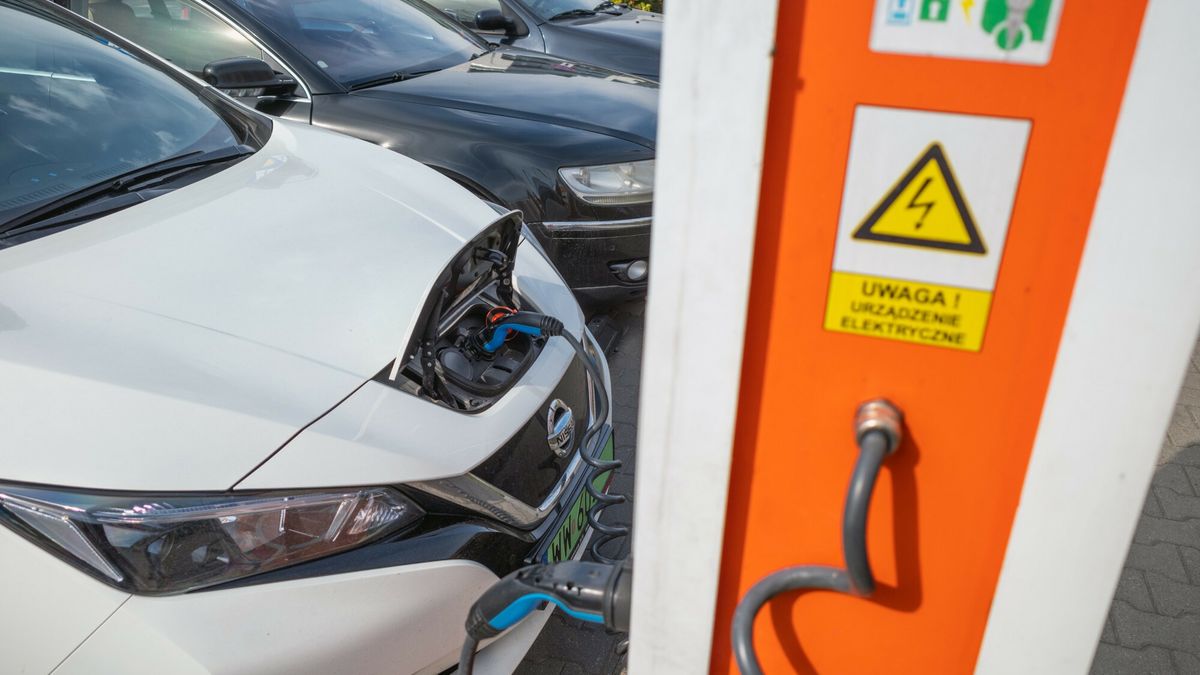 Samochody elektryczne stają się coraz bardziej popularne. Widać to po statystykach