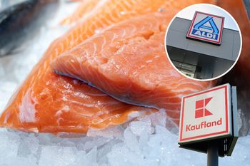 Przysmak z Pacyfiku na twoim talerzu. Aldi i Kaufland kuszą promocjami