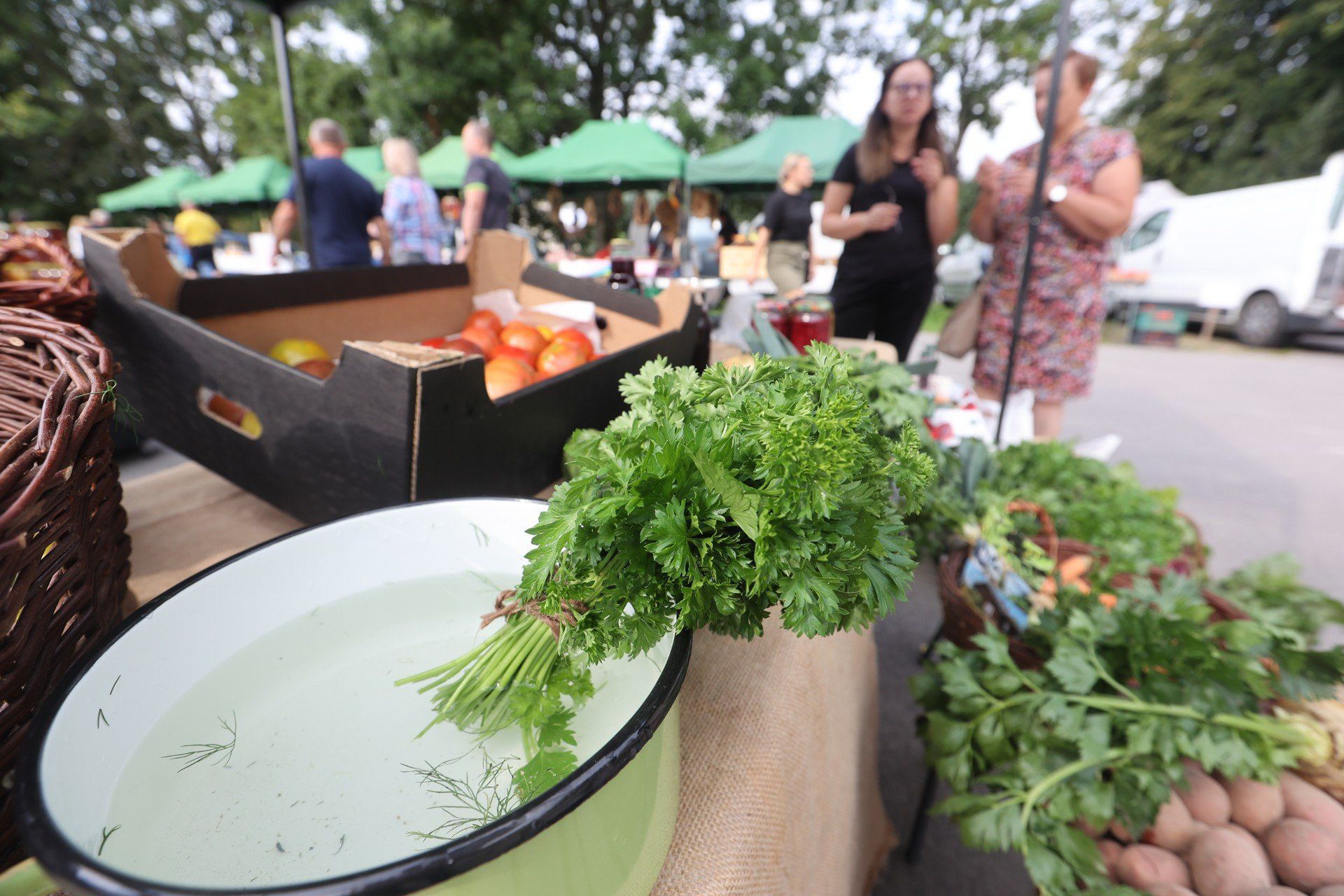 Podkarpacki Bazarek w Podkarpackim Ośrodku Doradztwa Rolniczego w Boguchwale.