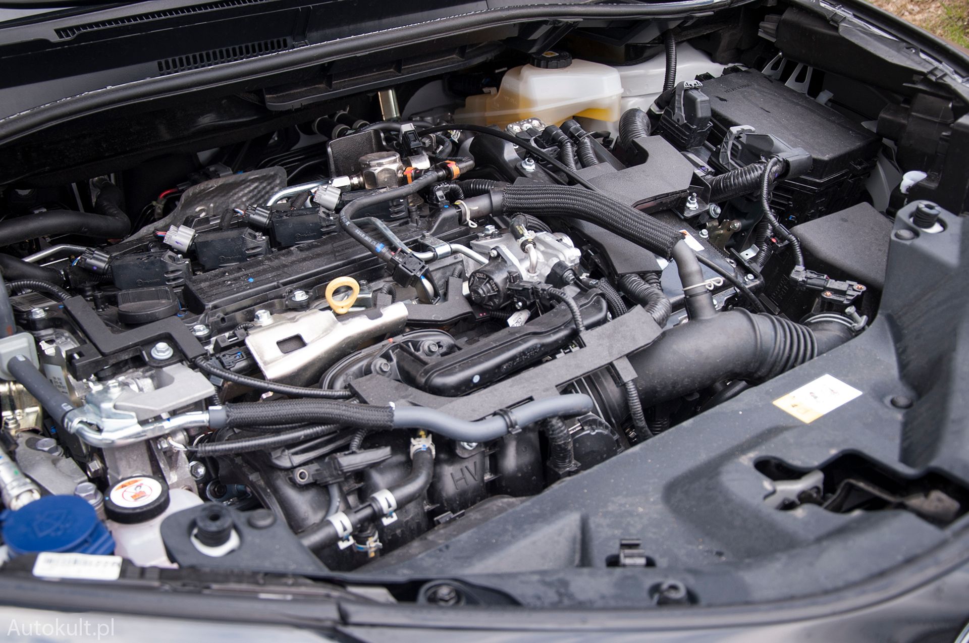 Zdjęcie ilustracyjne do artykułu