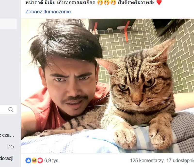 Co robi kot, gdy jego właściciel śpi? Kamera nagrała nocną aktywność zwierzęcia 2