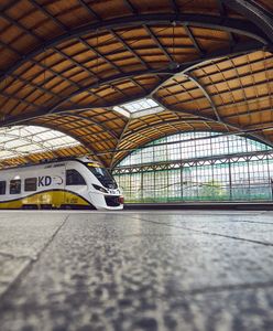 У Польщі повертається мода на потяги. Збільшується кількість сполучень