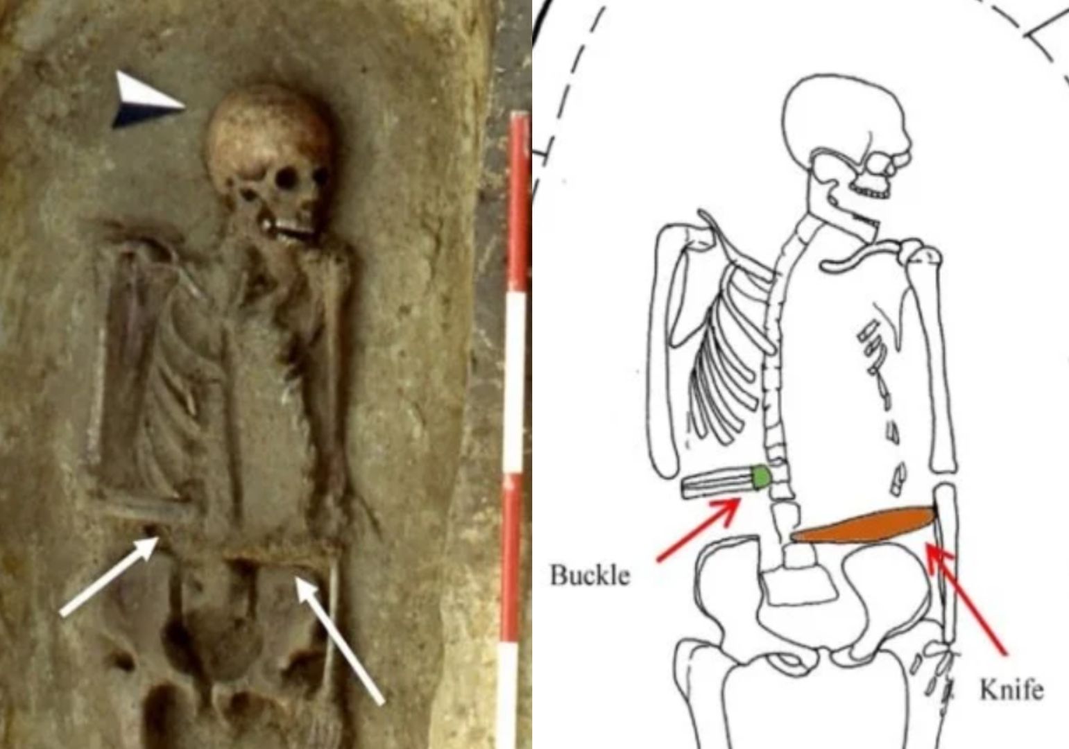 Archeolodzy zdumieni. Niezwykły widok w grobie sprzed wieków