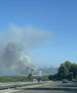 Francja. Lazurowe Wybrzeże płonie. "Jesteśmy dalecy od wygrania tej walki"