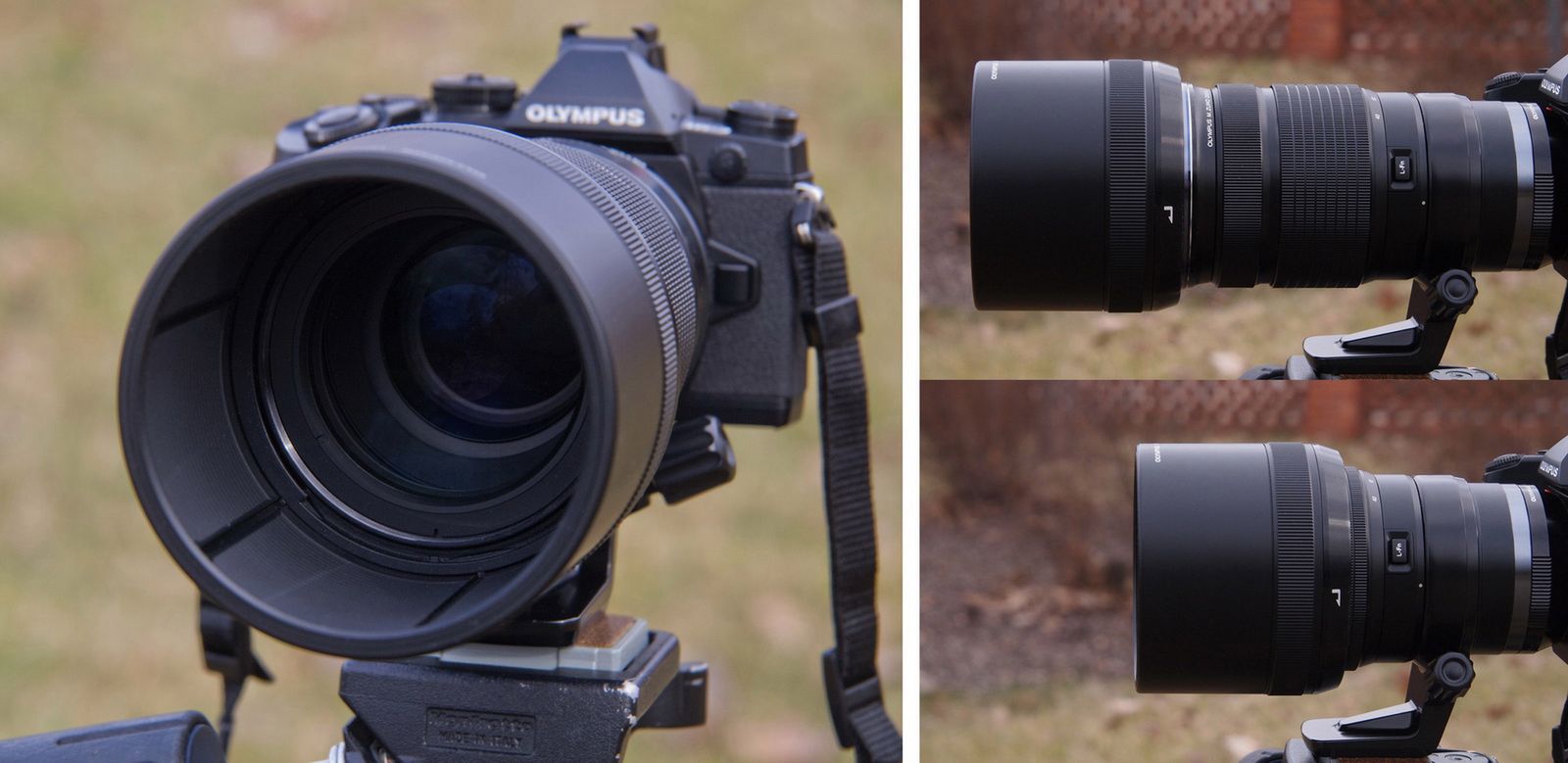 Olympus 40-150 mm f/2,8 (+ TC 1,4×), czyli super małe super tele 4