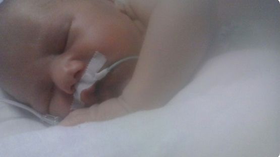 Celem zbiórki jest 15 tys. złotych