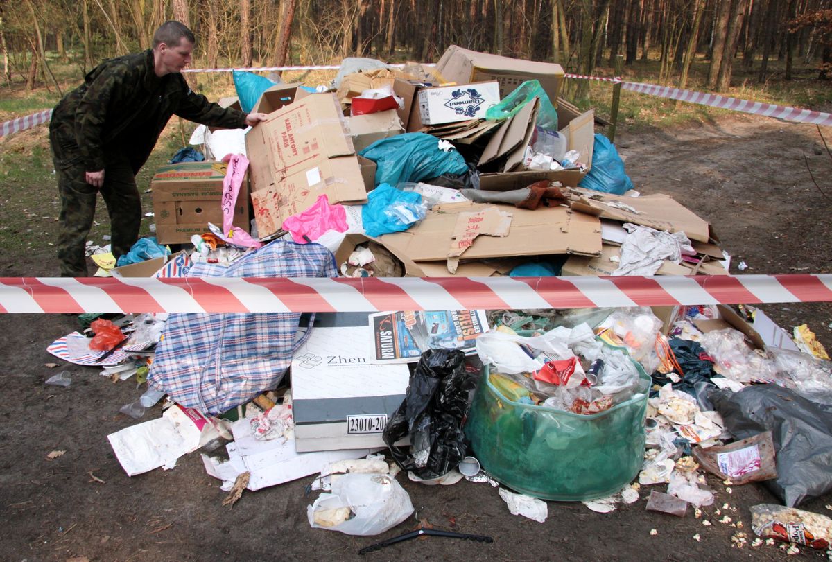 Wyższe kary dla śmieciarzy. Rząd bierze się za niszczących środowisko 
