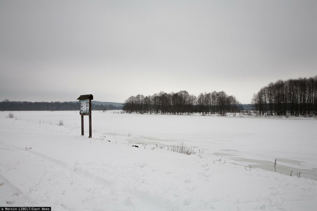 Horror na granicy polsko-białoruskiej. Odkryto zwłoki dwóch osób