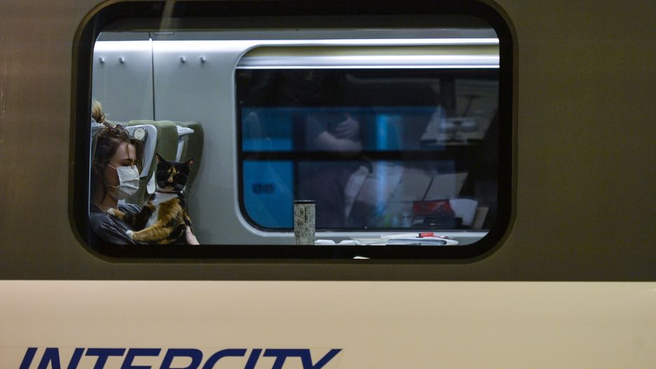 Koronawirus w Polsce. Zakażona osoba w pociągu Intercity, sanepid szuka pozostałych pasażerów