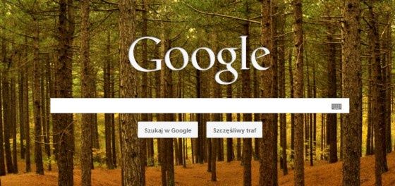Google Kara