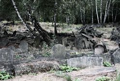 Fotostory: macewy na cmentarzu żydowskim