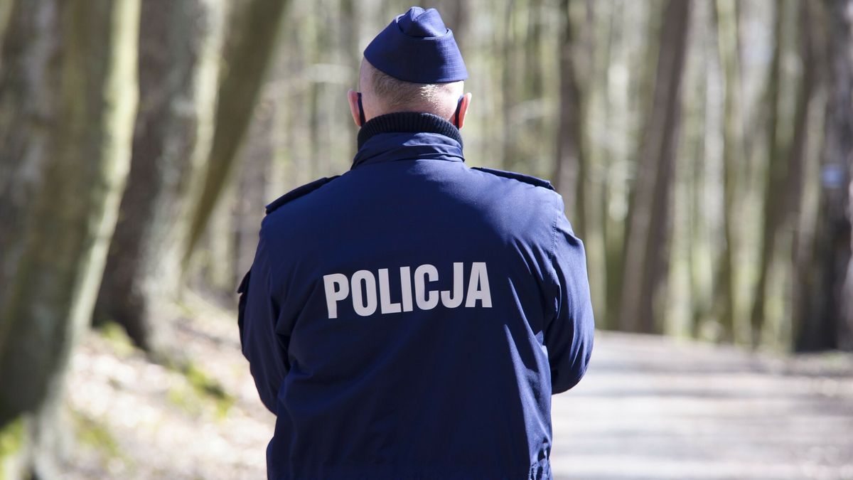 Patrole slu?b mundurowych na elbl?skich ulicach
17.04.2020 Elblag . Wspolny patrol policji i sluzby celnej w miejskim lesie Bazantarnia N/z policjant  Fot. Stanislaw Bielski/REPORTER
STANISLAW BIELSKI/REPORTER