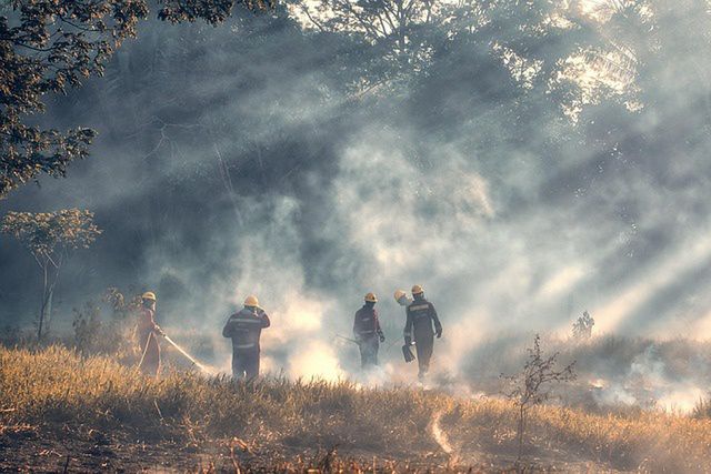 Pożary lasów powodują nasilone zanieczyszczenie PM2,5 i tysiące dodatkowych zgonów
