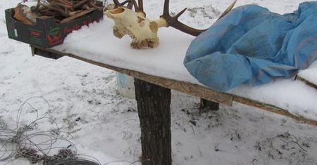 Fotopułapka wszystko nagrała. Kłusownik musiał obejść się smakiem