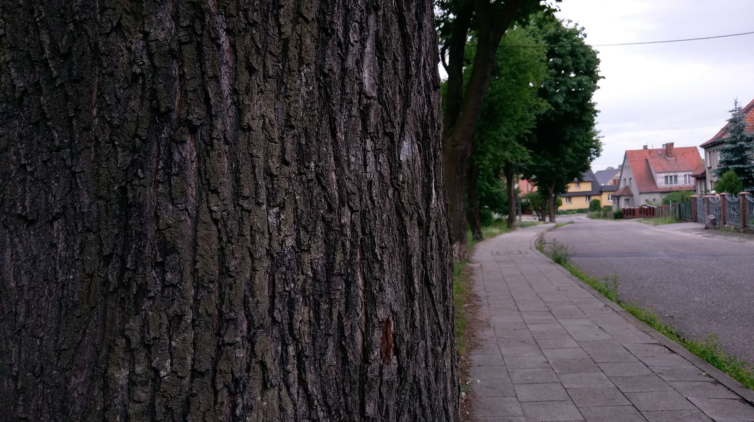 Galaxy S7, LG G5, HTC 10, Huawei P9 i Lumia 950 - fotoporównanie flagowców 23