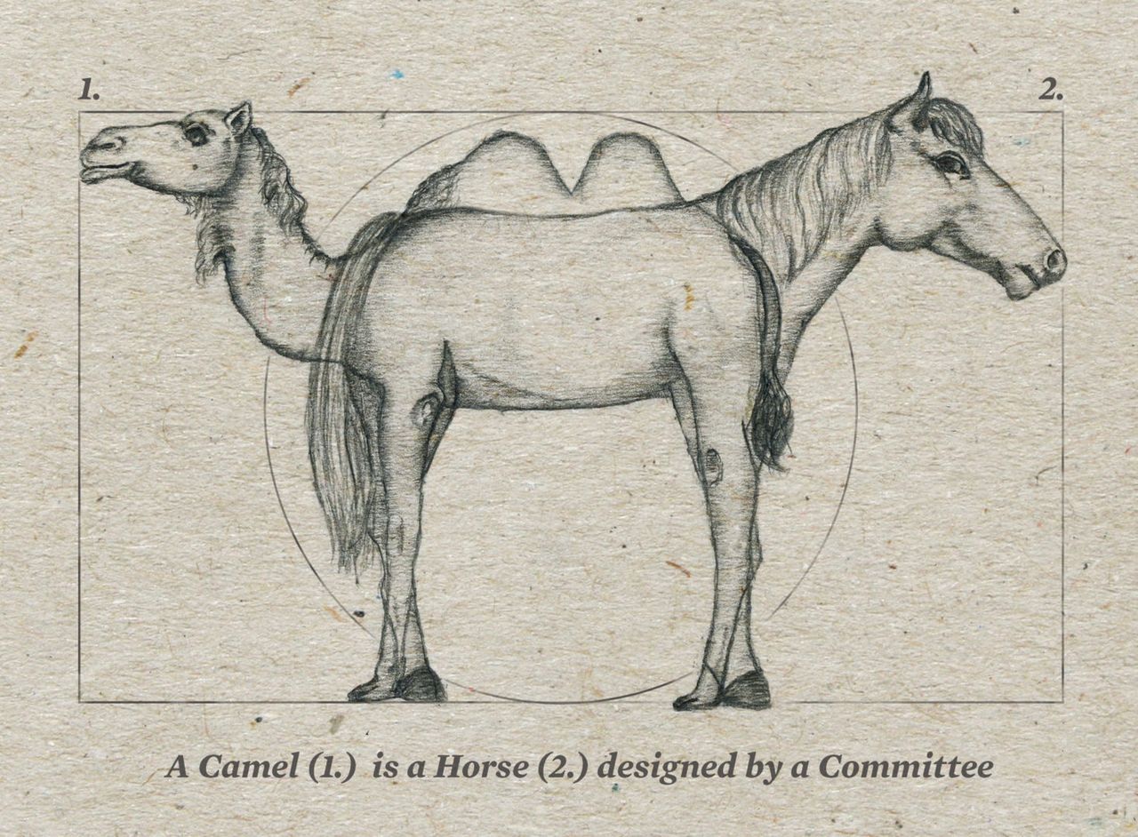 Wielbłąd to koń zaprojektowany przez komitet (fot. modern8)