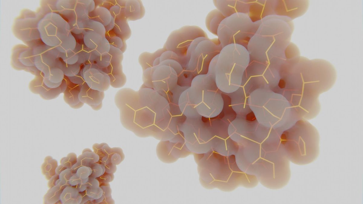 Aminokwasy. Charakterystyka, podział i właściwości