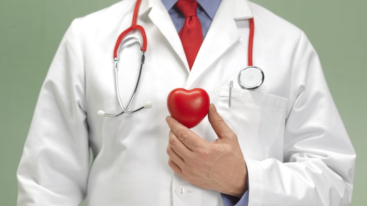 Cardiographer check up for healthy heart
Peter Dazeley
doctor, heart, stethoscope