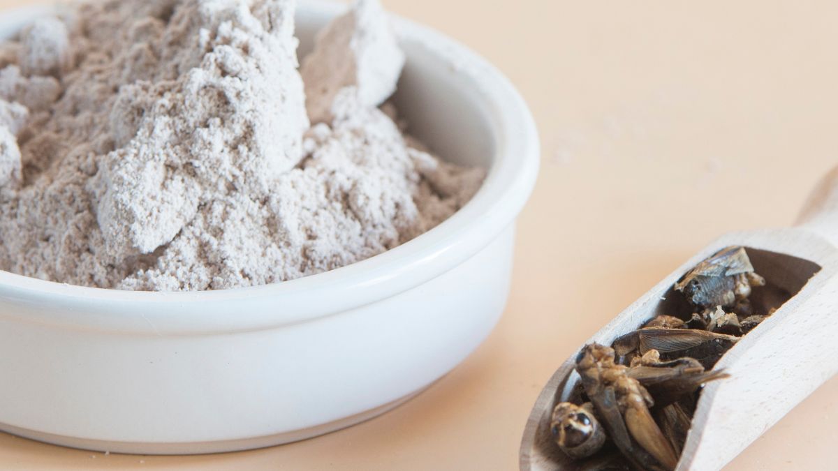 Mąka ze świerszczy