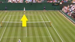 Rosjanka nawet nie pobiegła. Idealna piłka Igi Świątek [WIDEO]