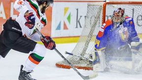 PHL: GKS Tychy - TatrySki Podhale Nowy Targ (skrót)