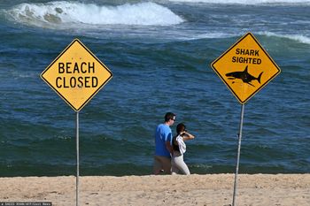 Śmiertelny atak rekina u wybrzeży Queensland. Druga ofiara w tydzień