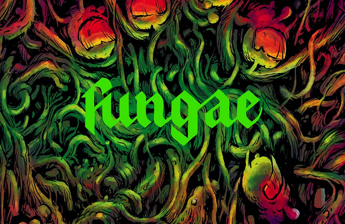 Fungae, Kultura Gniewu, 2023