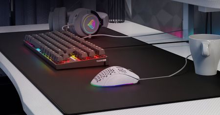 Przegląd myszek Genesis. Dobre gryzonie w przystępnej cenie