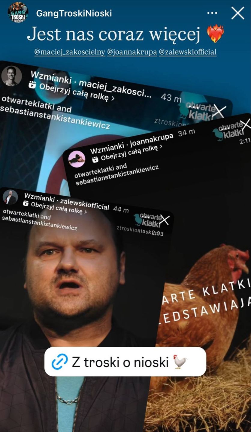 Gwiazdy wsparły akcję pomocy kurom