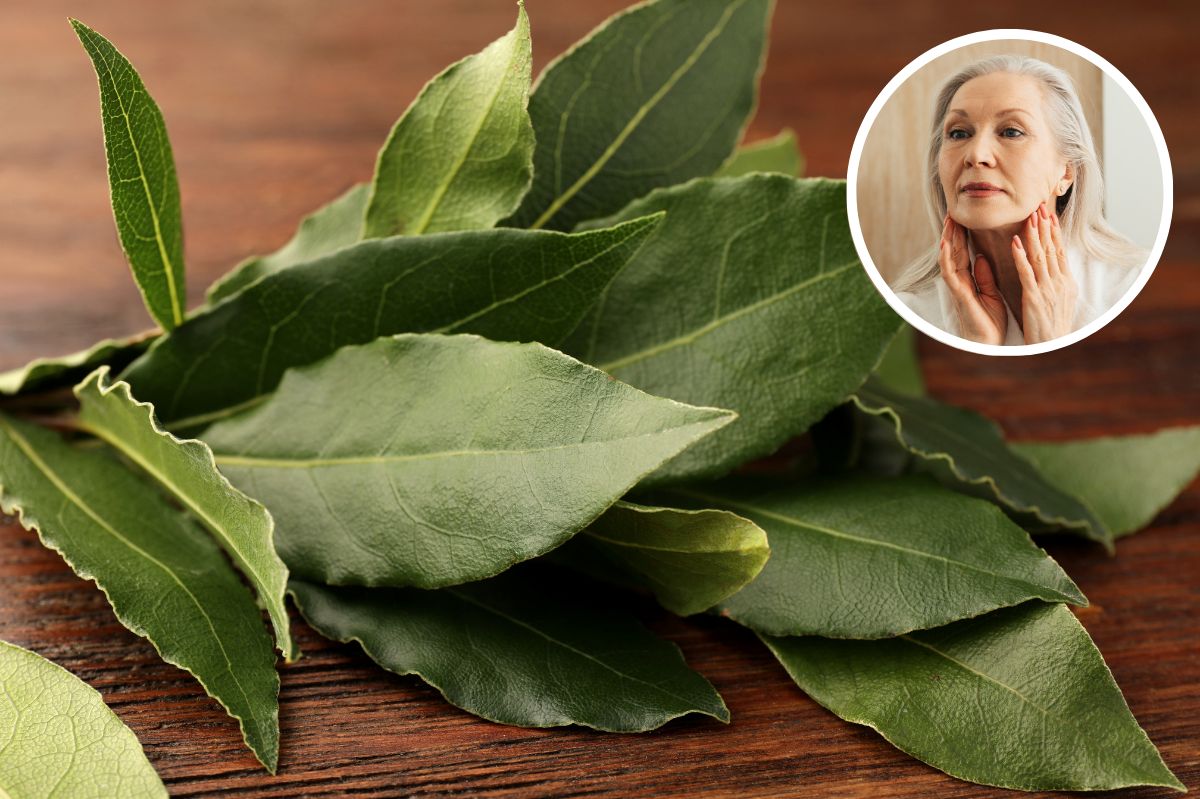 Bay leaves: Nature's affordable secret for youthful skin