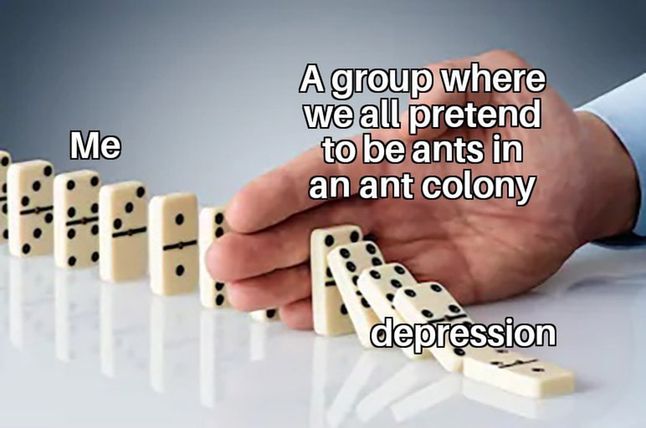 330288454234362054