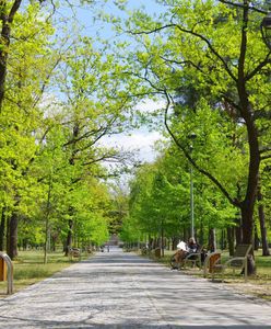 Koronawirus w Polsce. 70-latka weszła do parku podczas epidemii. Uchylono karę 12 tys. zł