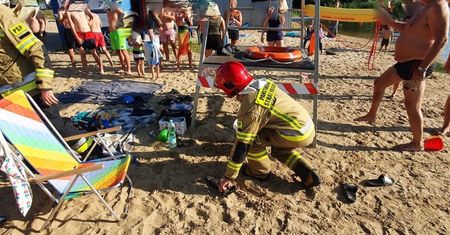Wąż grasował na plaży