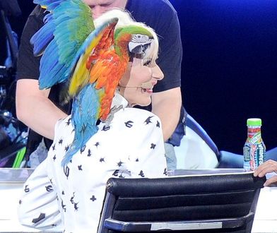 Kora o wakacjach w Brazylii: malowanie to rodzaj terapii