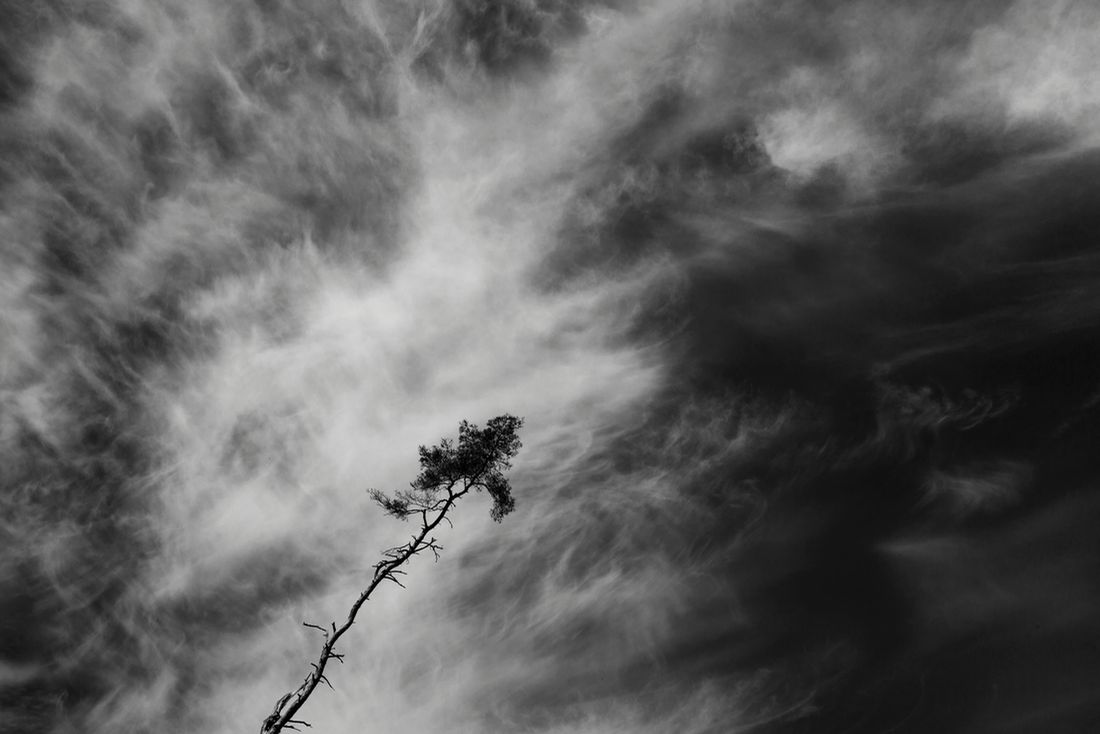 Piotr Zwarycz fotografem roku na ND Awards 2019. Wielu Polaków wyróżnionych 24