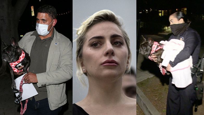 Bandyci porwali psy Lady Gagi