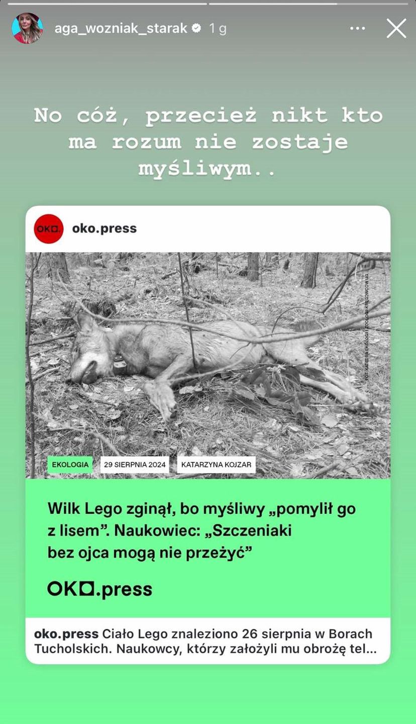 Agnieszka Woźniak-Starak krytykuje działania rządu Donalda Tuska