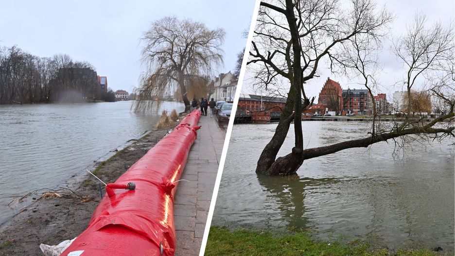 Umacnianie brzegów rzeki Elbląg