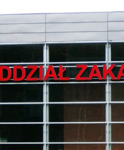W Poznaniu z powodu świńskiej grypy zmarły kolejne trzy osoby